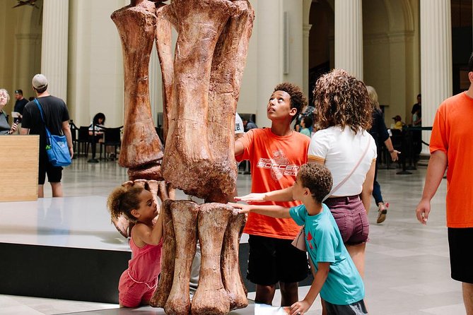 Field Museum of Natural History Admission Tickets - What four hours really gets you