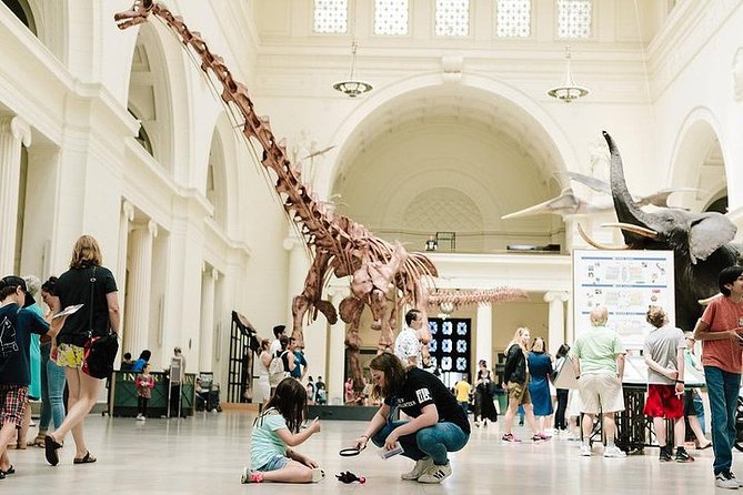 Field Museum of Natural History Admission Tickets - Inside the Field Museum’s three floors