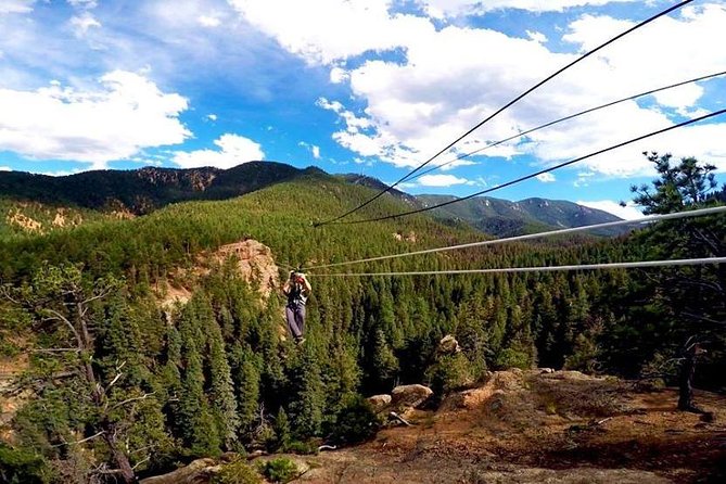 Fins Course Scenic Zipline Tour - Safety, fitness, and who should book