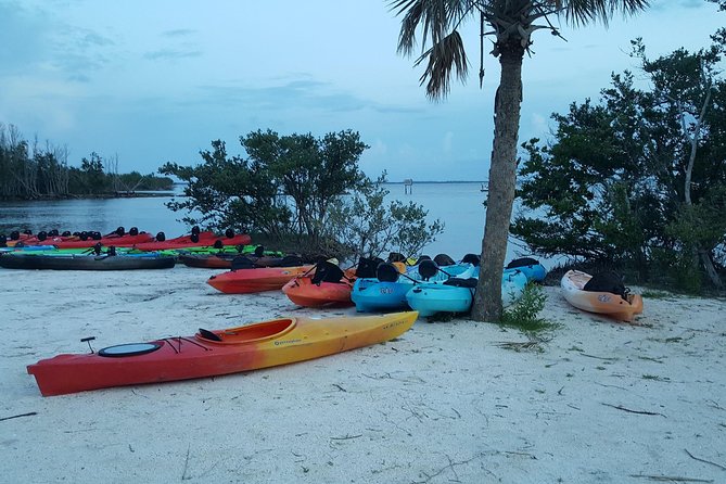 Florida Bioluminescence Kayaking Tour (Titusville) - Watching fish, jellies, and other night life