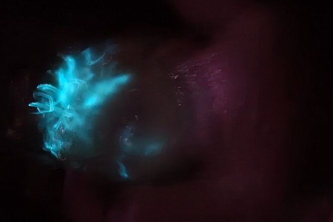 Florida Bioluminescence Kayaking Tour (Titusville) - Choosing your time and season