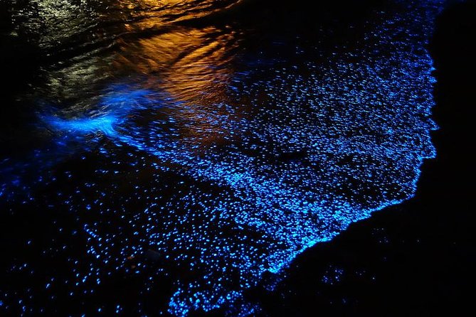 Florida Bioluminescence Kayaking Tour (Titusville) - The first paddle is easier than it sounds