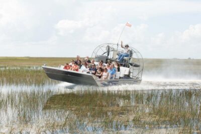 Florida Everglades Airboat Adventure and Wildlife Encounter