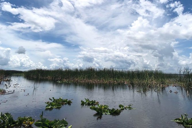 Florida Everglades Airboat Tour and Wild Florida Admission with Optional Lunch - Who will enjoy this Orlando day trip