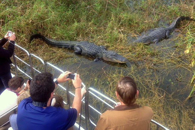 Florida Everglades Airboat Tour and Wild Florida Admission with Optional Lunch - Is the $37 ticket a good deal?