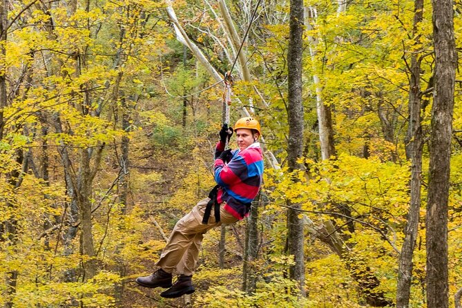 Fontanel Zipline Forest Adventure at Nashville North - Who will enjoy this most