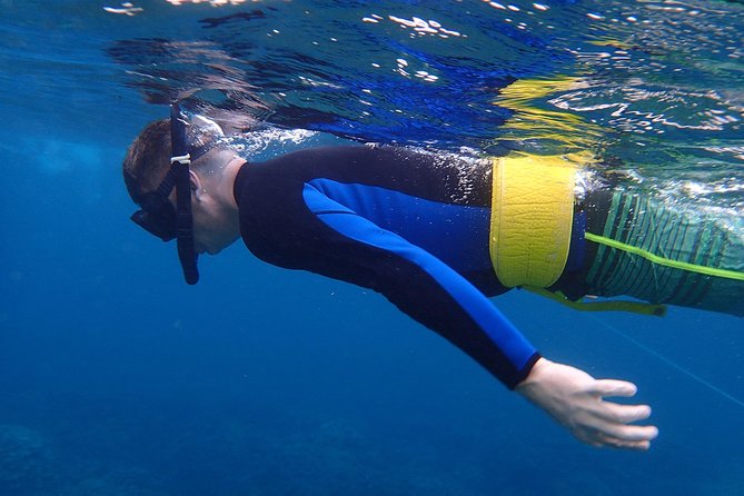 Four Winds Molokini Snorkeling Tour from Maalaea Harbor - Leaving Maalaea Harbor at 7:00 a.m.