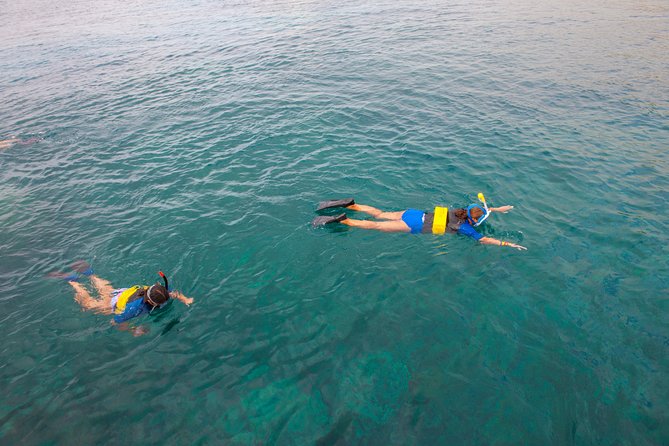 Four Winds Molokini Snorkeling Tour from Maalaea Harbor - What the crew adds to the experience
