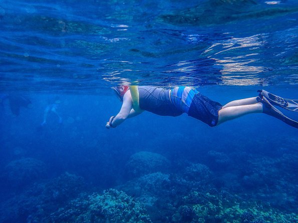 Four Winds Molokini Snorkeling Tour from Maalaea Harbor - When Molokini is unavailable