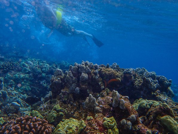 Four Winds Molokini Snorkeling Tour from Maalaea Harbor - Entering Molokini Crater for about two hours