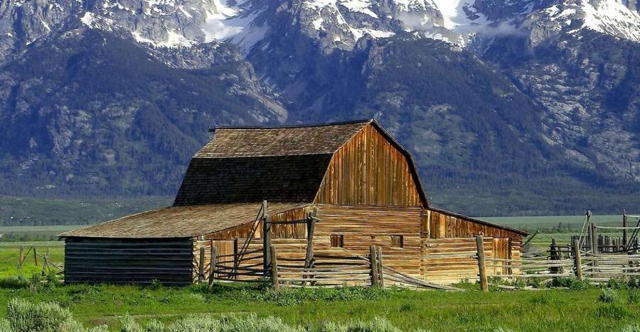 From Jackson: Half-Day Grand Teton National Park Tour - Key points to know before booking