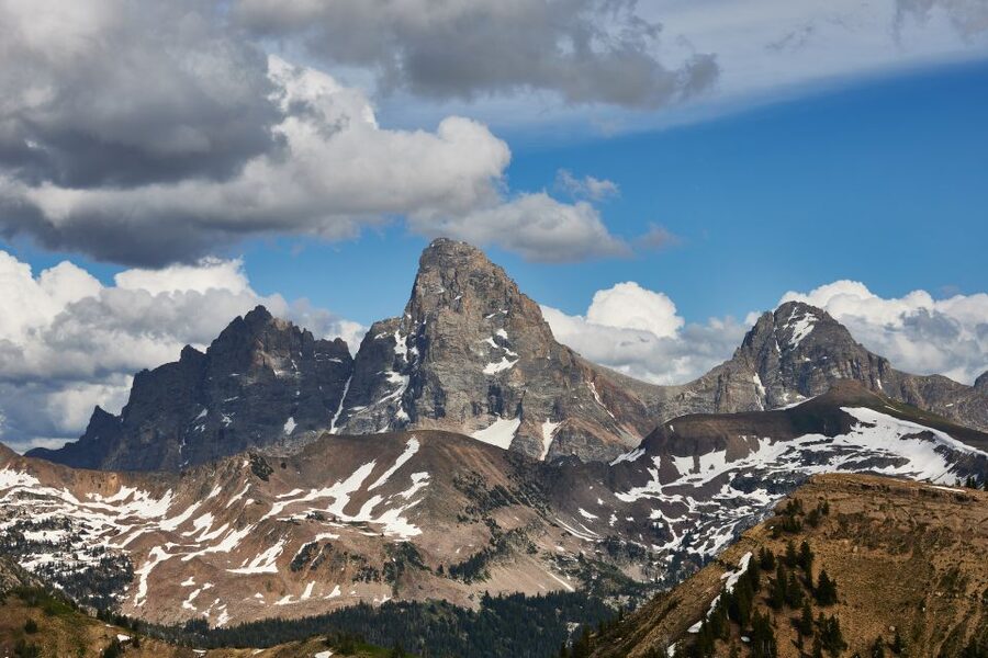 From Jackson: Half-Day Grand Teton National Park Tour - Guides, optics, and the human side of the trip
