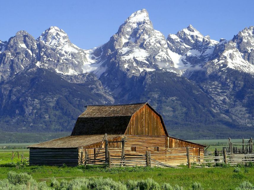 From Jackson: Half-Day Grand Teton National Park Tour - Why this short Grand Teton tour works