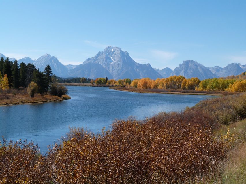 From Jackson: Half-Day Grand Teton National Park Tour - Moose Junction and the park loop road