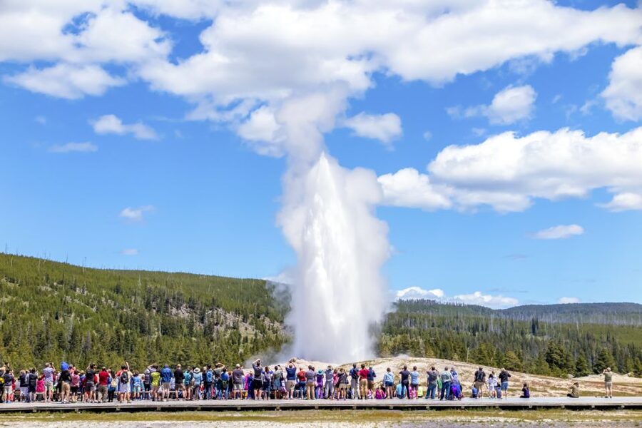 From Jackson: Yellowstone Day Tour Including Entrance Fee - Key points to know before booking