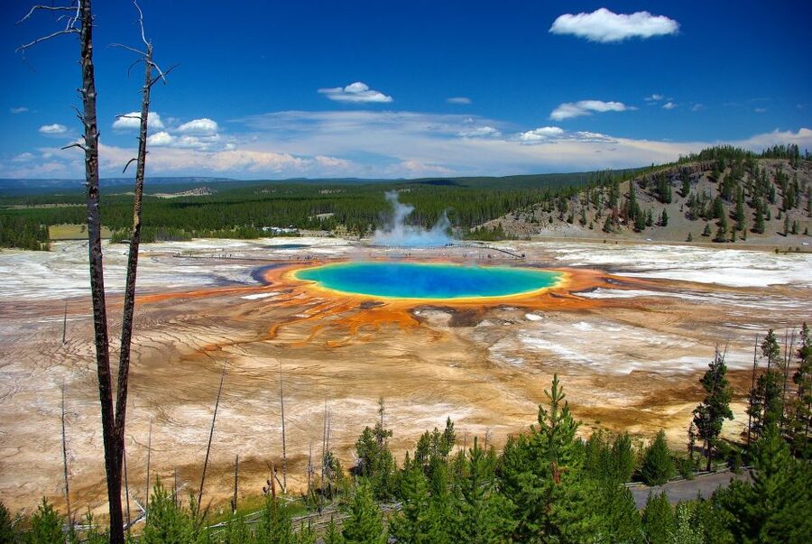 From Jackson: Yellowstone Day Tour Including Entrance Fee - The Grand Canyon of Yellowstone and the Lower Falls