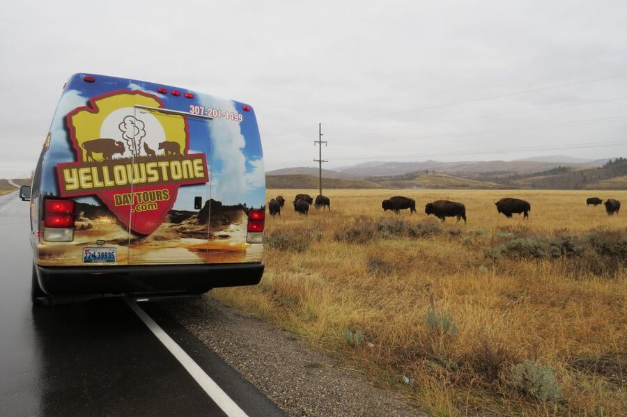 From Jackson: Yellowstone Day Tour Including Entrance Fee - Breakfast, picnic lunch, and the practical details