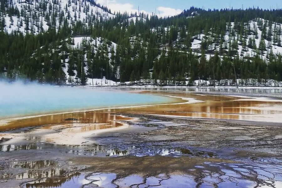From Jackson: Yellowstone National Park Day Trip with Lunch - Practical preparation for a better day