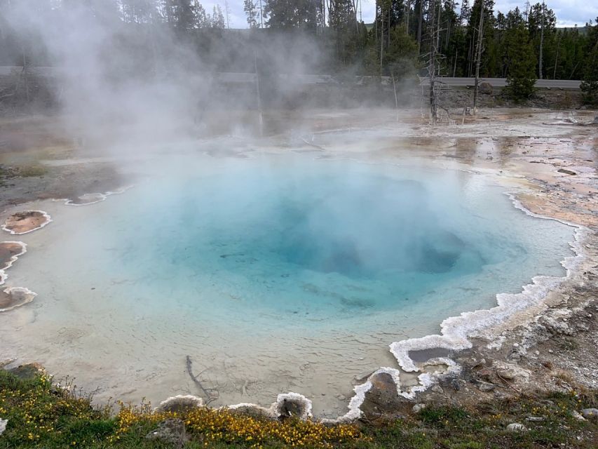 From Jackson: Yellowstone National Park Day Trip with Lunch - Why the Jackson departure makes sense