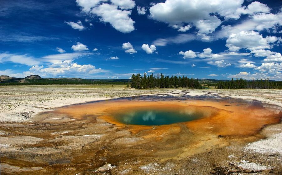 From Jackson: Yellowstone National Park Day Trip with Lunch - Waterfalls, river canyons, and changing scenery