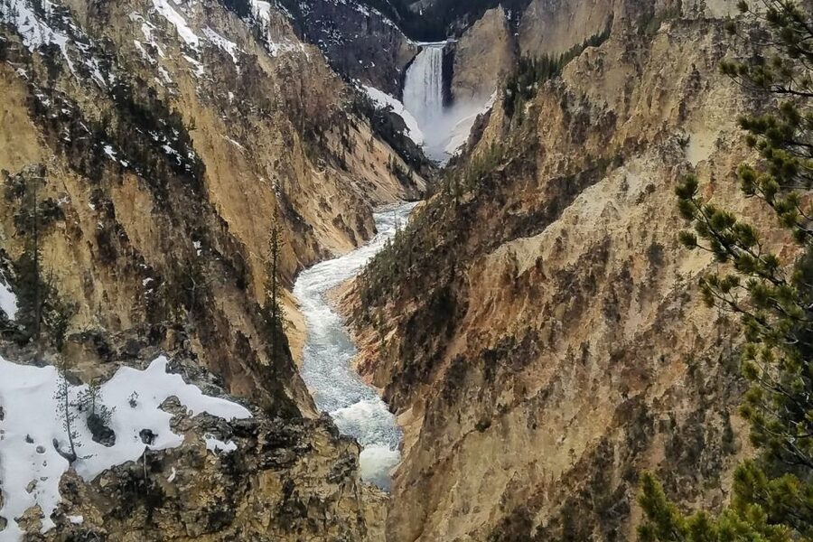 From Jackson: Yellowstone National Park Day Trip with Lunch - Hayden Valley and the chance of wildlife