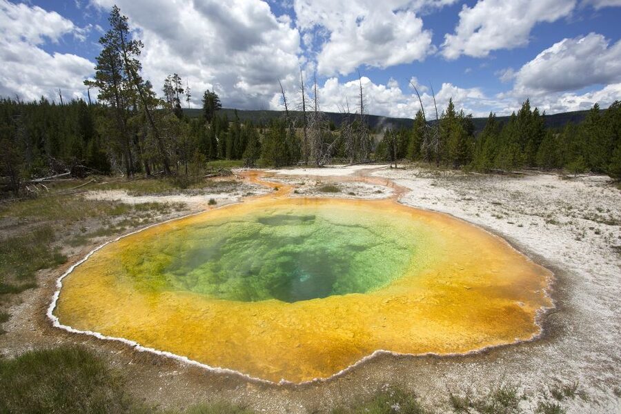 From Jackson: Yellowstone National Park Day Trip with Lunch - Picnic lunch, van comfort, and the pace of the day