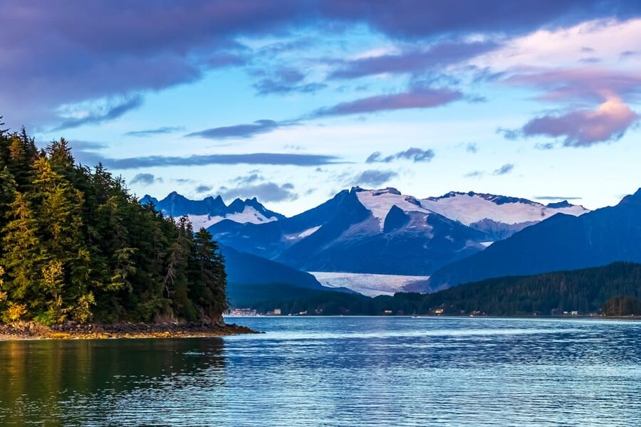 From Juneau: Whale Watching Cruise with Snacks - From Franklin Street to Auke Bay in 25 minutes