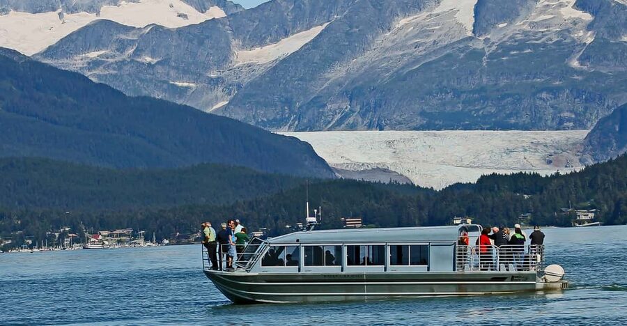 From Juneau: Whale Watching Cruise with Snacks - Auke Bay and the small jet boat