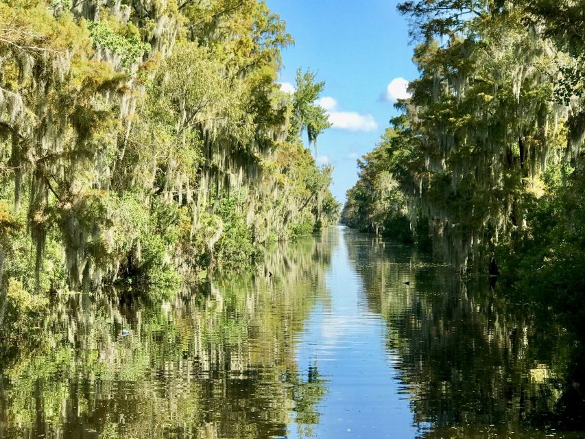 From Lafitte: Swamp Tours South of New Orleans by Airboat - Is the tour good value near New Orleans?