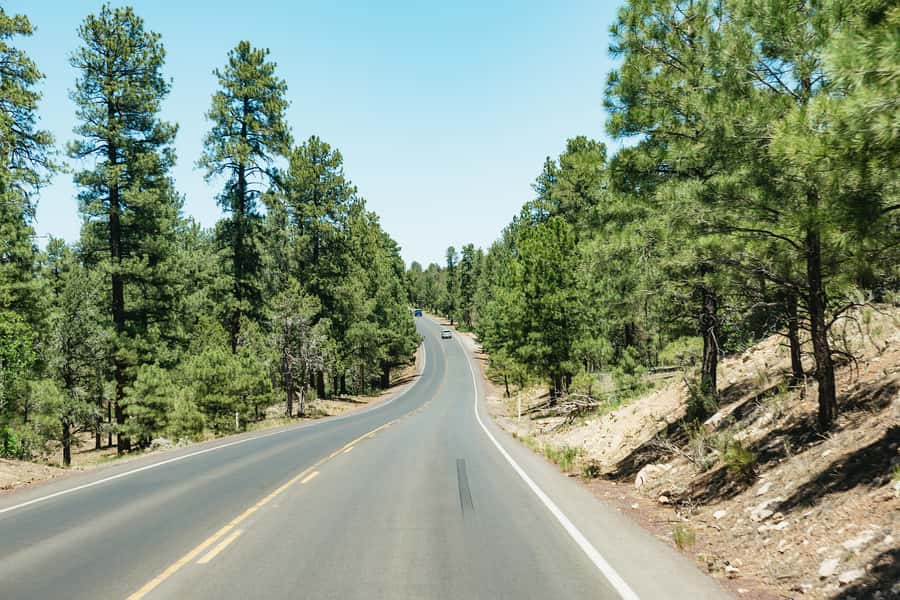 From Las Vegas: Grand Canyon South Rim Day Trip - Booking Details That Matter