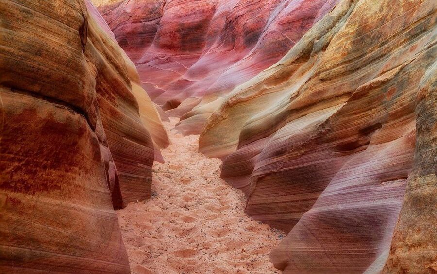 From Las Vegas: Valley of Fire State Park Tour - Is $109 a fair price?