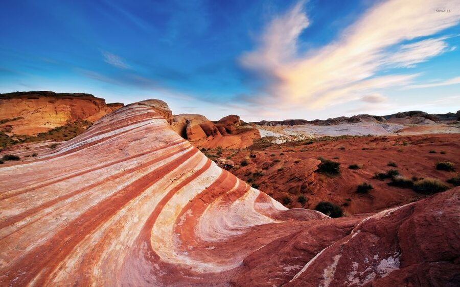 From Las Vegas: Valley of Fire State Park Tour - Petrified trees and 4,000-year-old petroglyphs