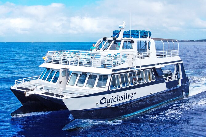 From Maalaea: Whale Watching Tour Aboard the Quicksilver - Quick points before you book