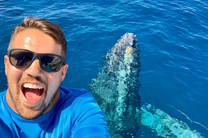 From Maalaea: Whale Watching Tour Aboard the Quicksilver - Why Maui is a special place to watch humpback whales