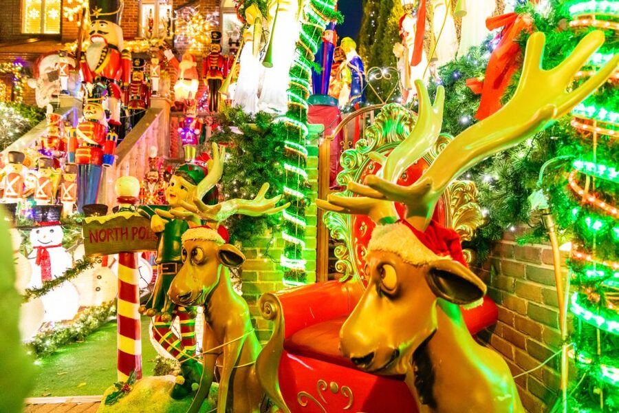 From Manhattan: 4-Hour Dyker Heights Holiday Lights Bus Tour - Who will enjoy this tour most
