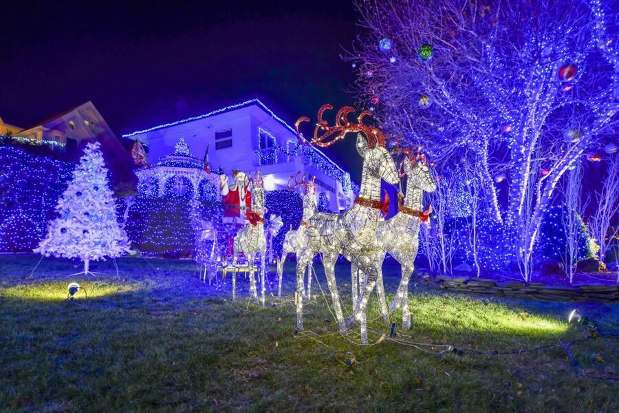 From Manhattan: Dyker Heights Lights & Skyline Tour - Weather, crowds, and what to bring