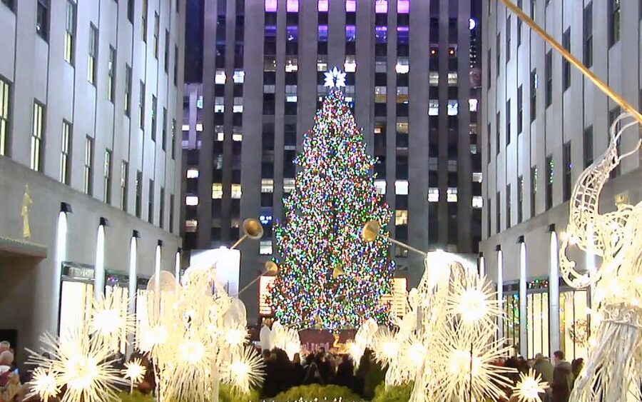 From Manhattan: Dyker Heights Lights & Skyline Tour - Walking through Dyker Heights