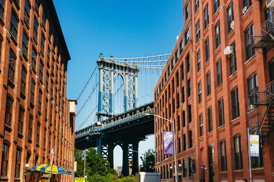 From Manhattan: Full-Day NYC Boroughs and Coney Island Tour - A fast route through New York’s real neighborhoods
