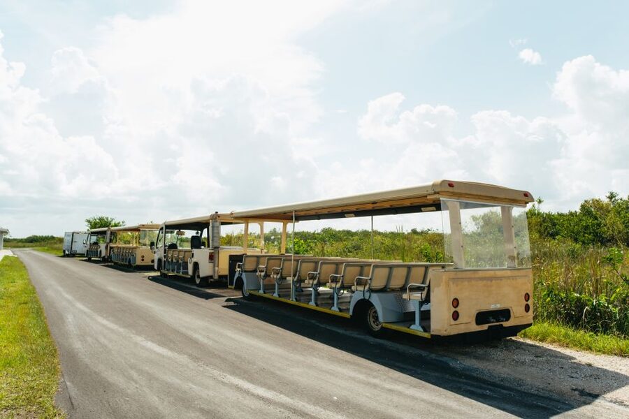 From Miami: Everglades Airboat Ride and Nature Walk - Key points to know before booking