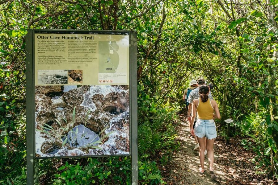 From Miami: Everglades Airboat Ride and Nature Walk - Who should book this tour?