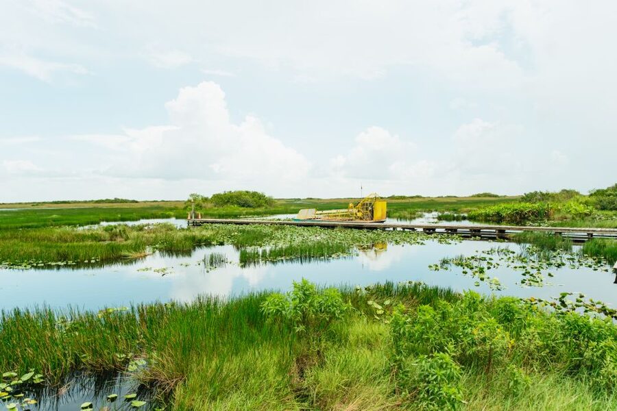 From Miami: Everglades Airboat Ride and Nature Walk - Why this Everglades tour works so well