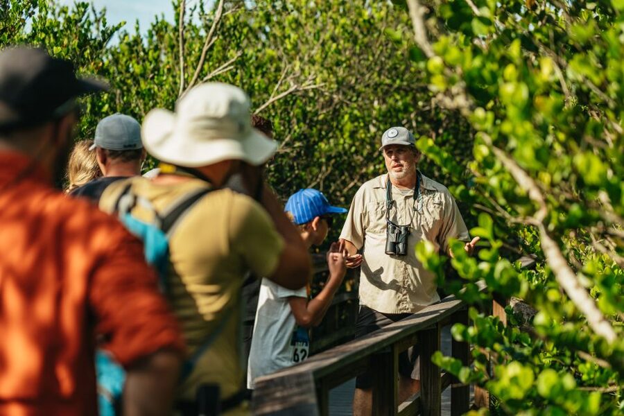 From Miami: Everglades Airboat Ride and Nature Walk - Walking through the tropical hardwood hammock