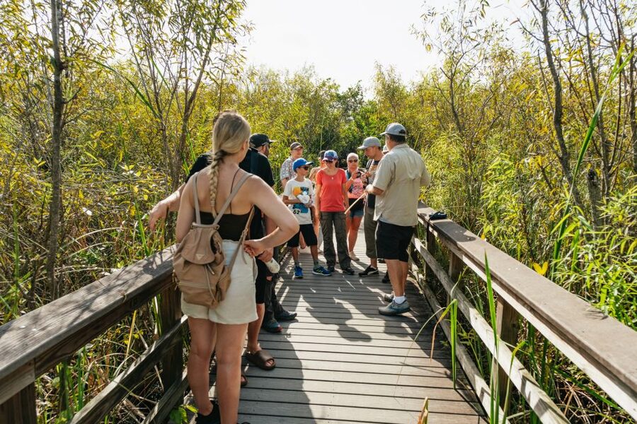 From Miami: Everglades Airboat Ride and Nature Walk - A look at Miccosukee life and the wetlands