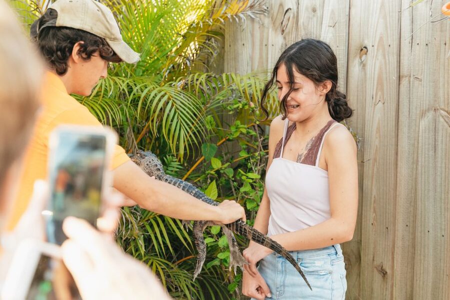 From Miami: Everglades Airboat, Wildlife Show & Bus Transfer - What the 45-minute airboat ride feels like