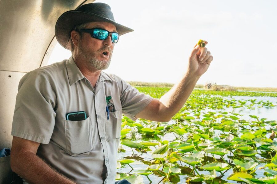 From Miami: Everglades Airboat, Wildlife Show & Bus Transfer - Why the $49 price can make sense