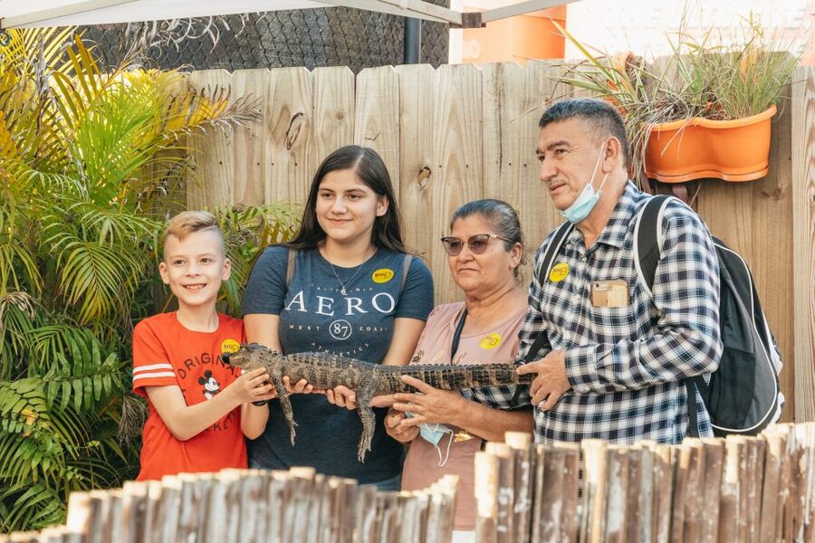From Miami: Everglades Airboat, Wildlife Show & Bus Transfer - Timing, comfort, and the return to Miami