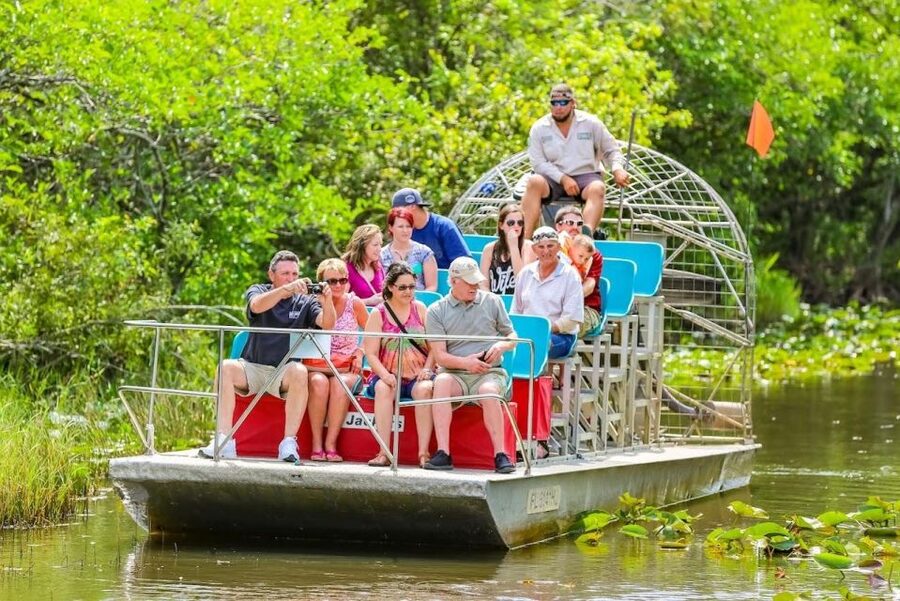 From Miami: Everglades Wildlife Show, Airboat & Bus Transfer - Tips for getting more from the outing