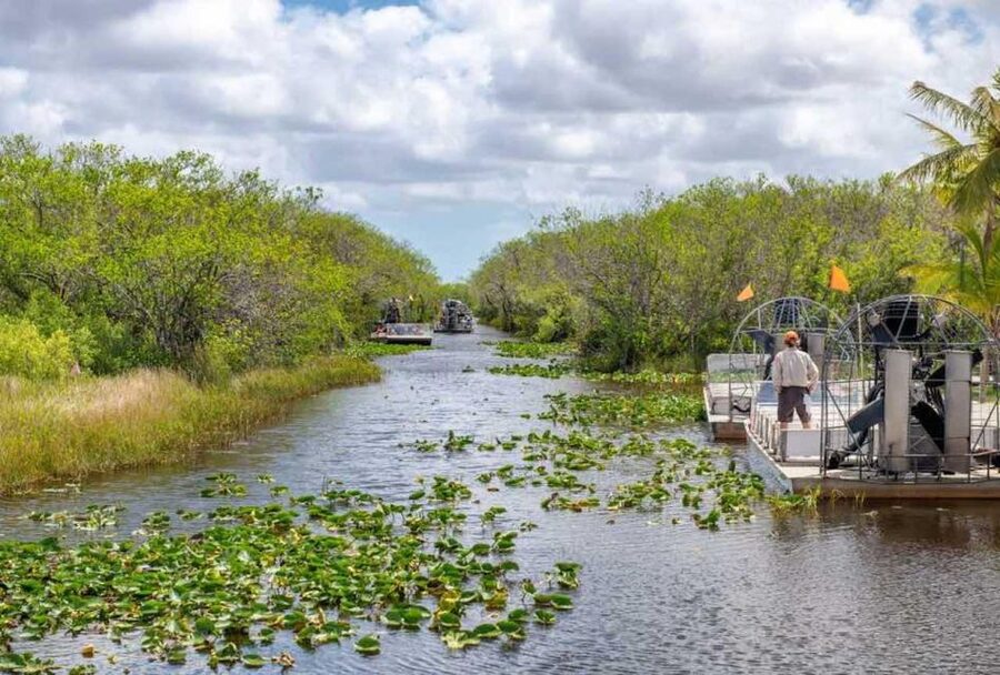 From Miami: Everglades Wildlife Show, Airboat & Bus Transfer - The optional Miami city tour covers a lot of ground