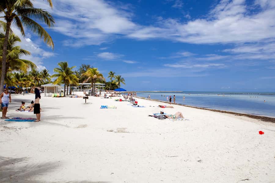 From Miami: Key West Day Tour by Motor Coach Bus - Choosing between walking, trolley rides, and the Conch Train