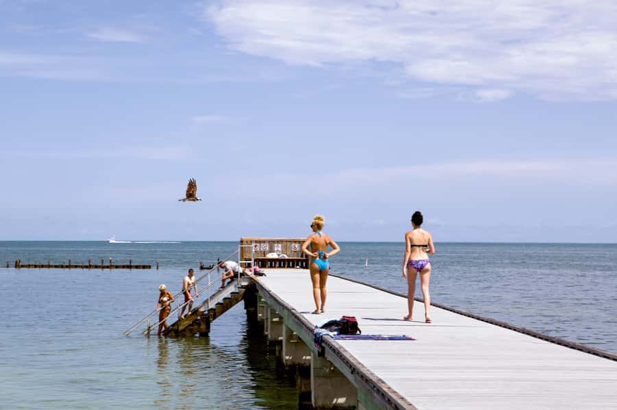 From Miami: Key West Day Tour by Motor Coach Bus - Is $62 a good price for the day?
